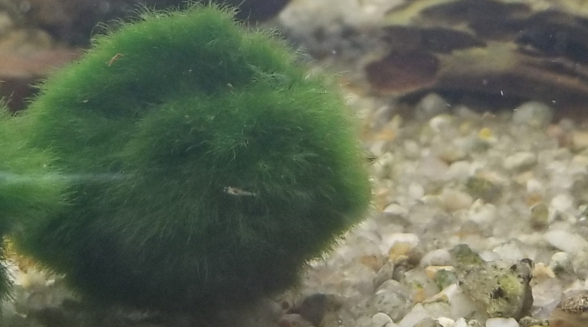 20190217_003742.jpg