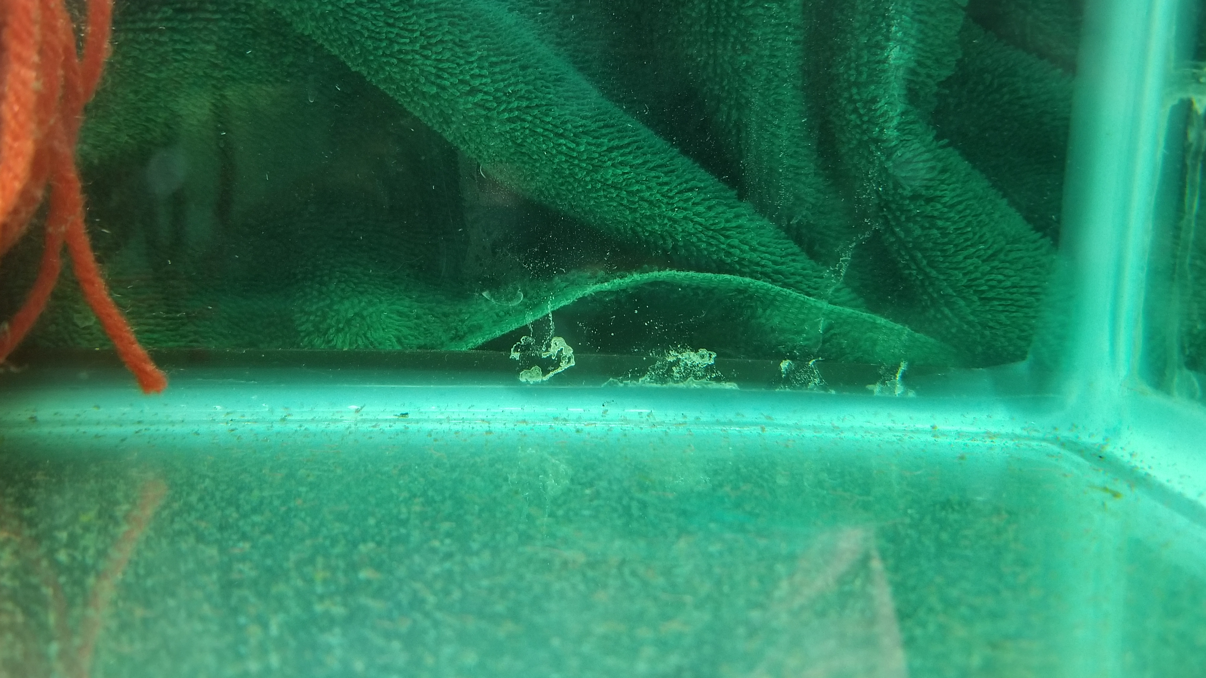 20190626_210356.jpg