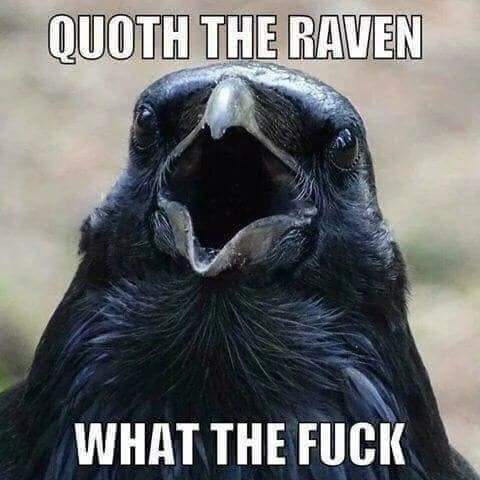 FB_IMG_1562026036386.jpg