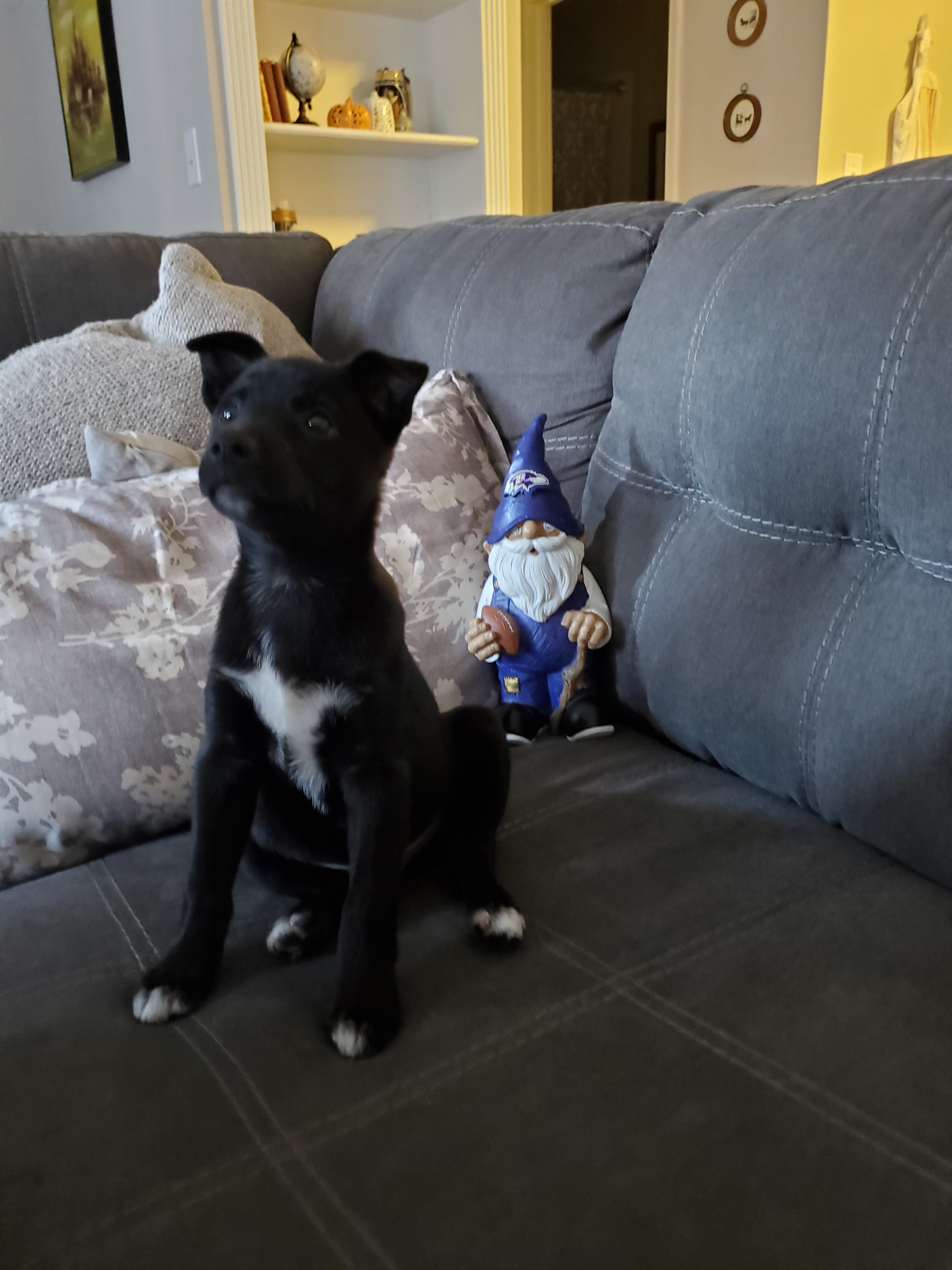 20191103_134423.jpg
