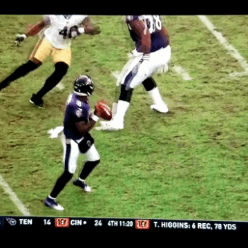 20201101_181914.gif