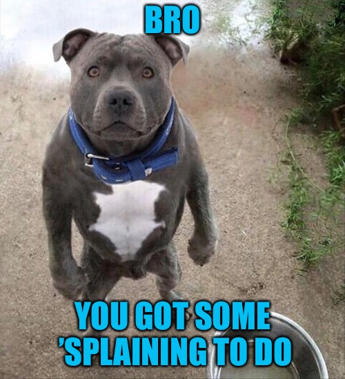 splaining.jpg