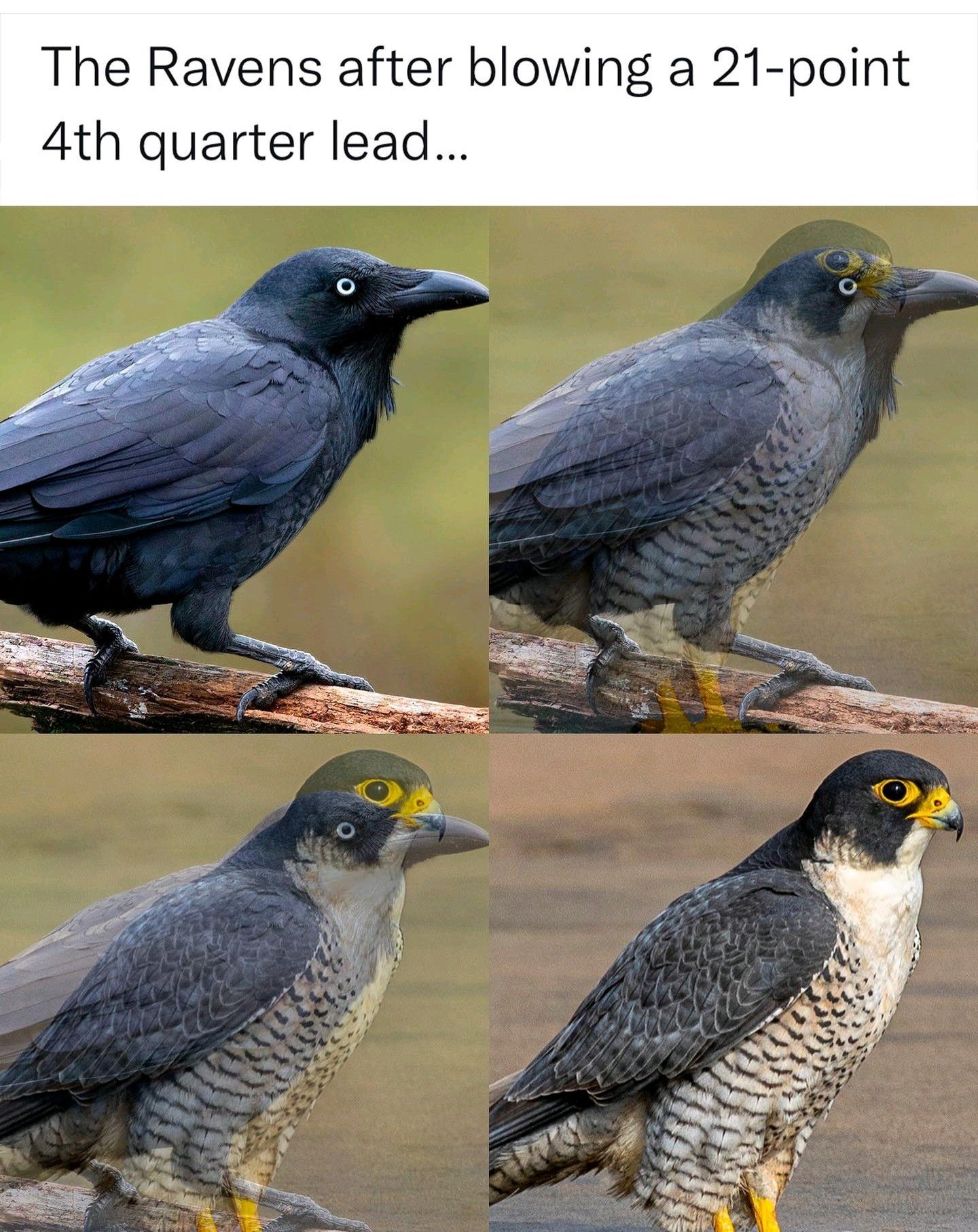 27727.jpeg