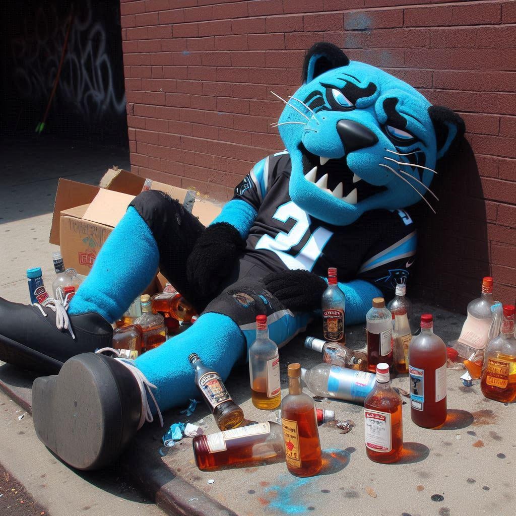 breaking-news-carolina-panthers-mascot-sir-purr-was-found-v0-s9gpbdkou1pd1.jpeg