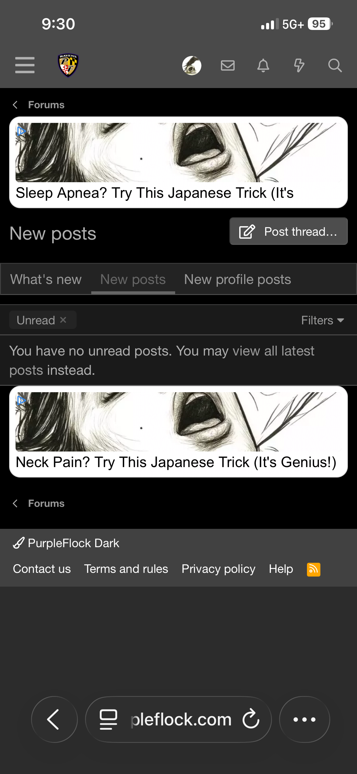 IMG_3074.png