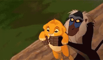 30573.gif
