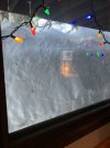 IMG_0667.jpeg