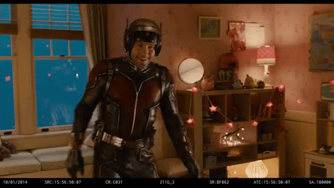 giphy.gif